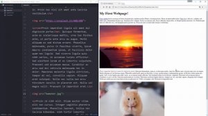 HTML & CSS for Beginners Part 6: Images