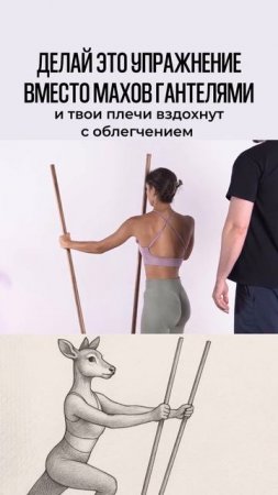 Бесплатный мини-курс по осанке и функциональным тренировкам True Motion