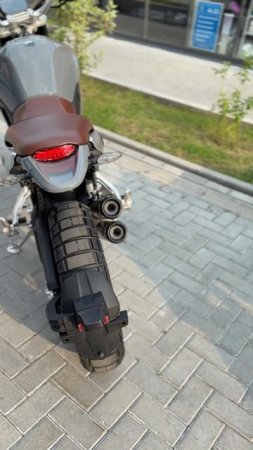 KOVE 500F WILD
