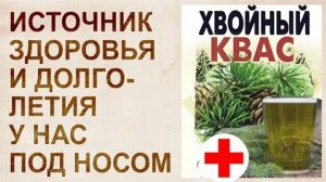 ⚡ ЭФФЕКТ омоложения ХВОЙНЫЙ квас ...