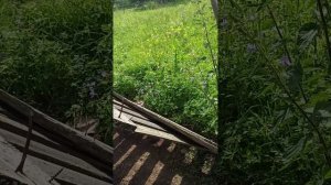 у каждого свои развлечения