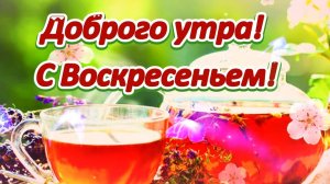 Доброго утра! С Воскресеньем! Красивое пожелание с Воскресным добрым утром! 🌞🌼🌼🌼🌼🌼🌼🌼🌼🌼🌼🌼