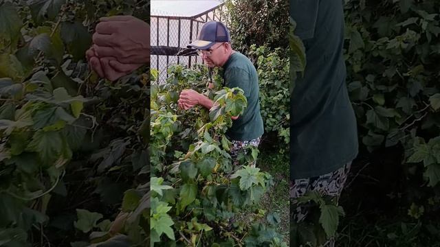 ЗАСТАВИЛА МУЖА РАБОТАТЬ.