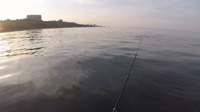 досуг веселый