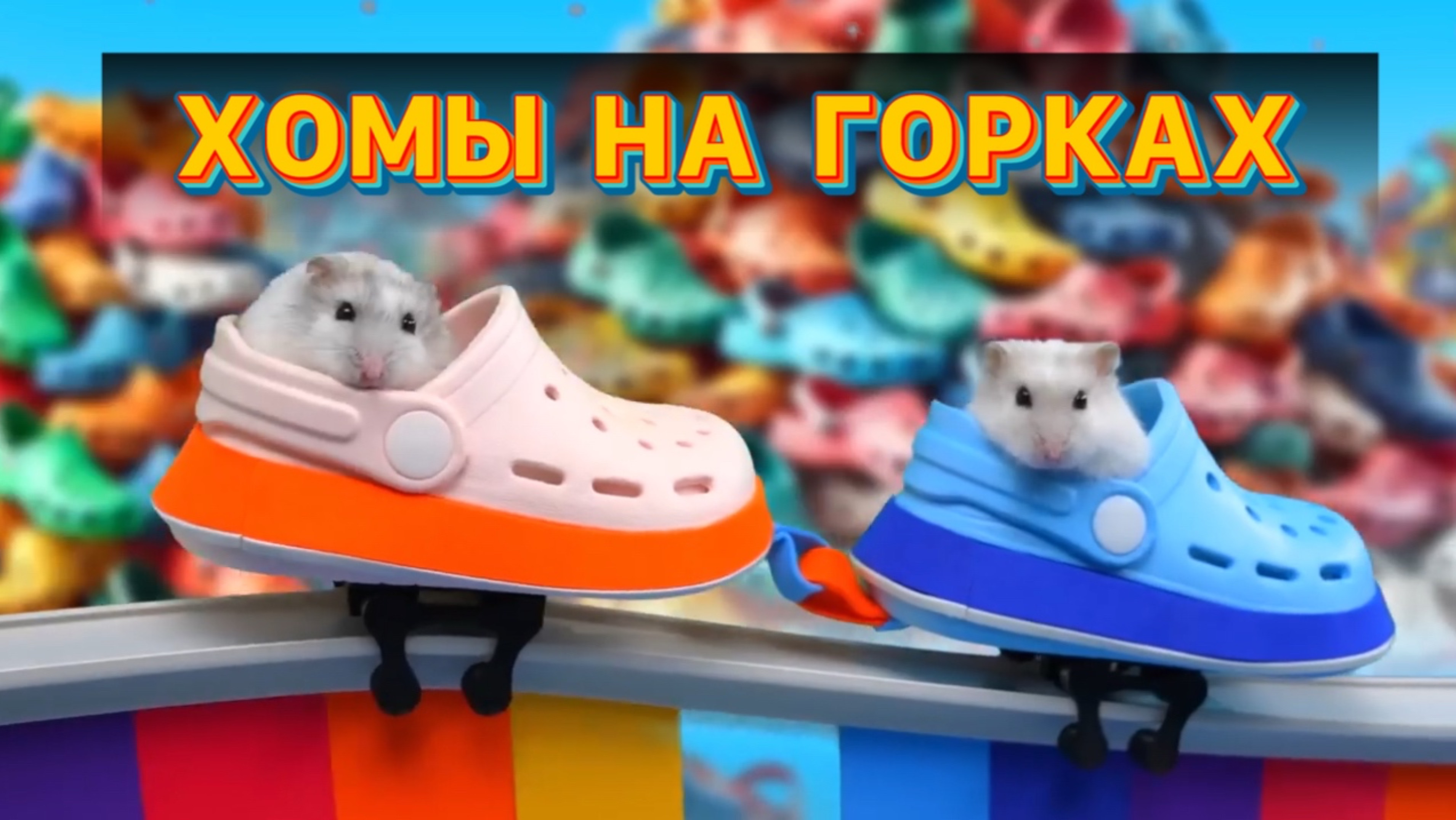 ХОМЯЧКИ НА АТРАКЦИОНАХ