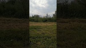 Прогулочка по поселку