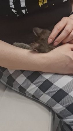 Как заснуть
