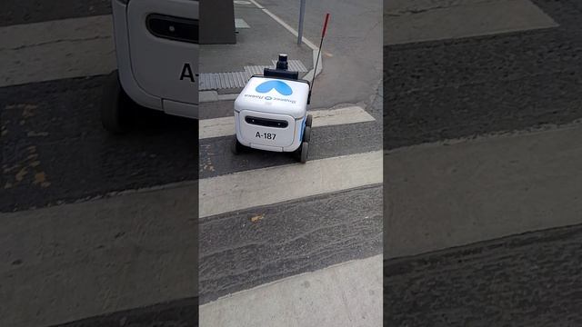 Встреча роботов