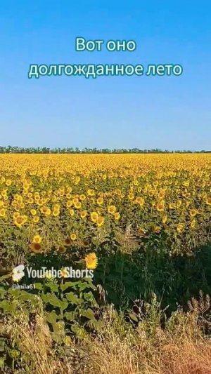 Вот оно долгожданное лето🌻🌻🌻