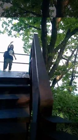 заказник черные скалы, приморский край, видовая площадка номер 2