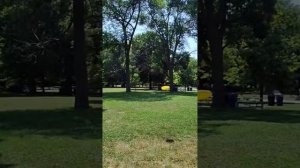 🌟🆕 Пикник в парке
