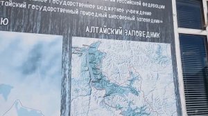 Алтай, Телецкое озеро, Алтайский заповедник, Яйлю 22 мая 2025 г.