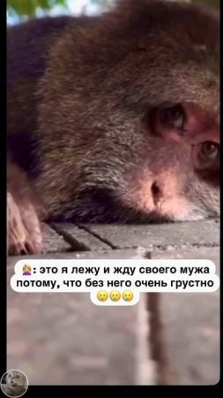 Вместе веселее!!!)