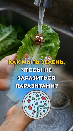 КАК МЫТЬ ЗЕЛЕНЬ 🌿, ЧТОБЫ НЕ ЗАРАЗИТЬСЯ ПАРАЗИТАМИ?
