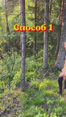 Сплошные преимущества 😂