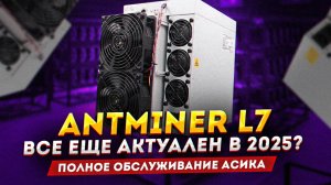 Antminer L7: как обслужить асик и актуальность в 2025 году. Сколько майнит, доходность и окупаемость