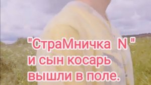 "СтраМничка N" и его сын косарь вышли в поле...
