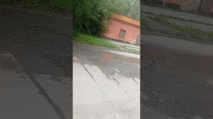 Опозорились на прогулке🤦🏻♀️ пока машину пропускали
