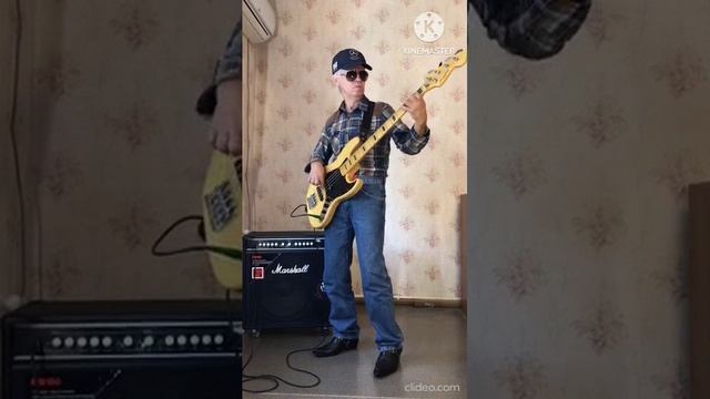 Gino Vannelli - Wild Horses (Bass cover) смотреть онлайн