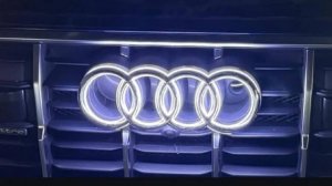Оригинальные Кольца Audi с подсветкой A84N Q5FY Q8 Q74M . VAG-UPGRADE.RU