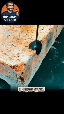 Пластилин под любые задачи