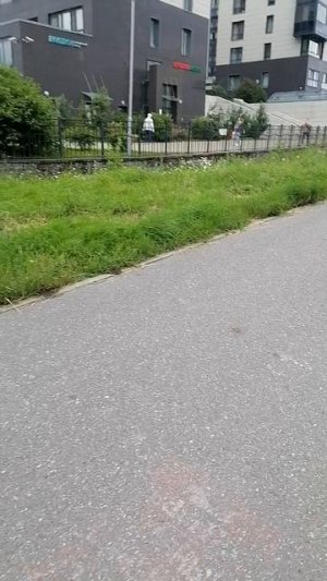 Ты готов к прогулке?