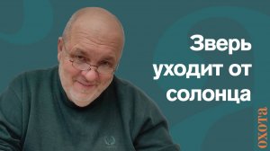 Зверь уходит от солонца. Валерий Кузенков о том, куда поставить солонец.