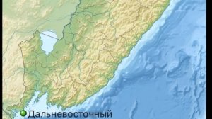 Всё про Дальневосточный морской заповедник
Лесной дневник