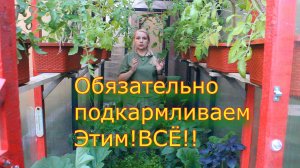 Узнай мой секрет большого урожая всего за 1 литр воды!