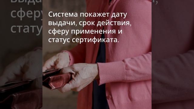 Проверка подлинности сертификата через интернет — сертификат-декларация.рф
