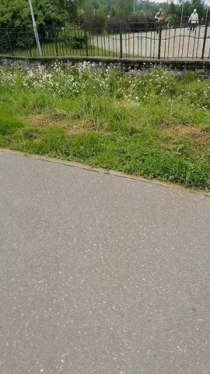 Готов к гулянке?
