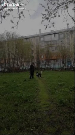 d0861586-7932-424a-a25e-aaf35ec8d48d-watermark (1).mp4 Елена Дружиненко Воркута