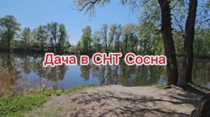 Дача в СНТ Сосна