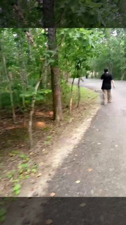 сафари парк приморский край, шкотовский муниципальный округ, обзор парковок