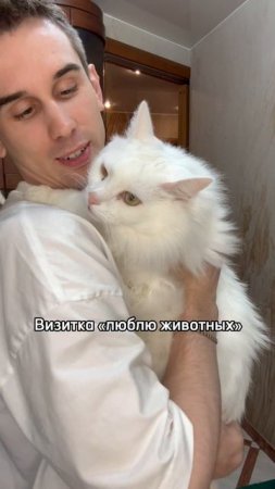 ТИПЫ ВИЗИТОК! #3 — Аккерман Станнислав