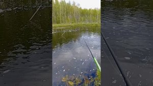 На рыбалке в Карелии