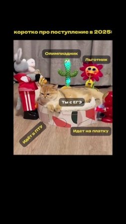 #поступление2025 #вуз #результатыегэ #ЕГЭ2026 #егэрусский #Фоксфорд