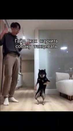 Лайфхак