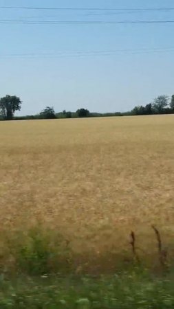 1000268596.mp4