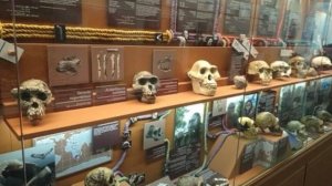 История государственного биологического музея им. Тимирязева
Городские этюды