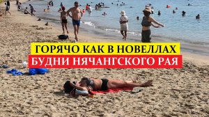 Вьетнам Нячанг погода сейчас 8 Июля 2025: На видео пляжный отдых туристов в идеальный сезон ☀️