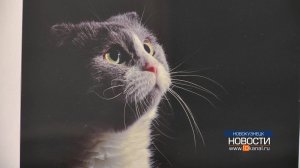 Заявили о себе