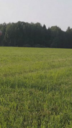 Клип уже на канале