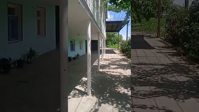 Домашние лапша сушим на зиму