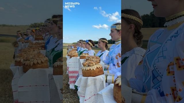 С почином! Обрядом «Зажинки» на Мозырщине положили начало масштабной жатве