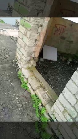 бухта ежовая