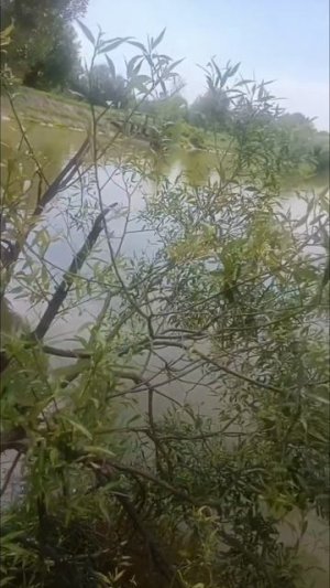 С днём семьи, любви и верности! И пусть верность будет не в словах, а на самом деле.🙏🌈💛
