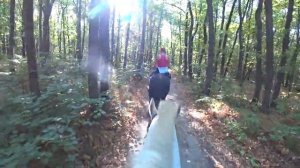 ПРОГУЛКА НА ЛОШАДКЕ НА ПРИРОДЕ | ОТ ПЕРВОГО ЛИЦА