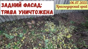 Битва с травой: победы на заднем фасаде(06.07.2025).