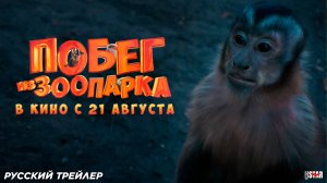 Побег из зоопарка (2024) | Русский дублированный трейлер (6+) | В кино с 14 августа 2025